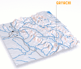 3d view of Gayachi