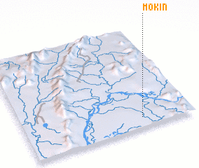 3d view of Mokin