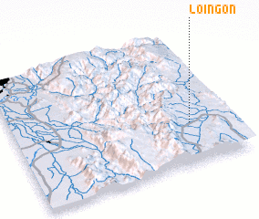 3d view of Loi-ngon