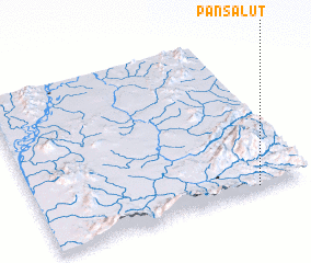 3d view of Pansalut