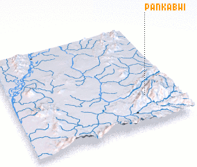 3d view of Pankabwi