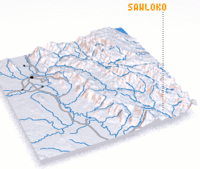 3d view of Sawloko