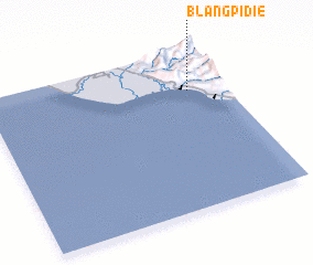 3d view of Blangpidie