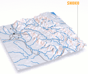 3d view of Shoko