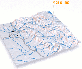 3d view of Salaung