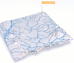 3d view of Manking