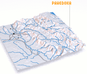 3d view of Pawe Doka