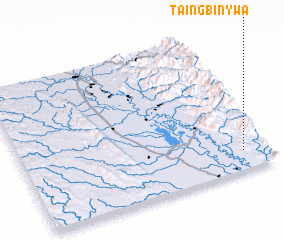 3d view of Taingbinywa