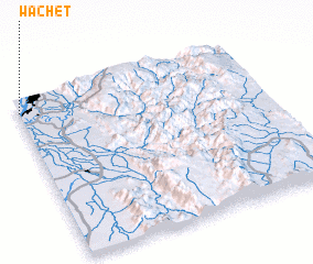 3d view of Wachet