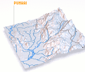 3d view of Pumwai