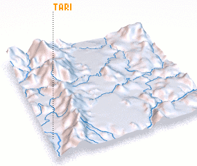 3d view of Tari