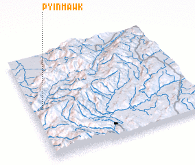 3d view of Pyinmawk