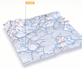 3d view of Hoka