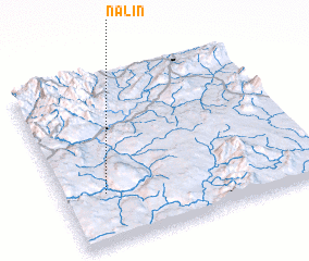 3d view of Nalin
