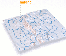 3d view of Nā-pong