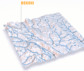 3d view of Bekoki