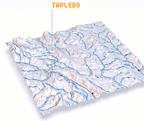 3d view of Tapledo