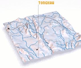 3d view of Tongkaw