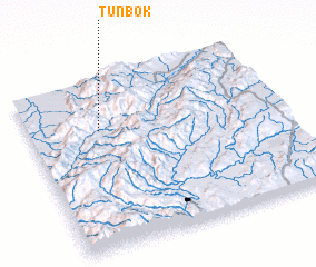 3d view of Tunbok