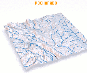 3d view of Pochanado