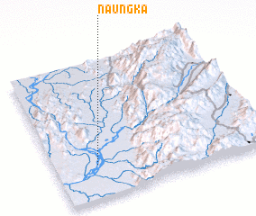 3d view of Naungka