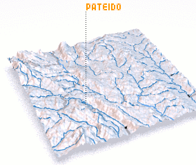 3d view of Pateido