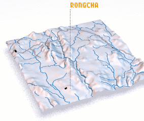 3d view of Rongcha