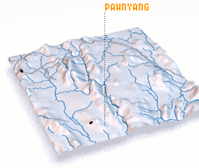 3d view of Pawnyang