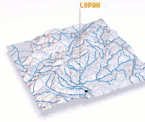 3d view of Lopah