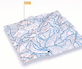 3d view of Uma