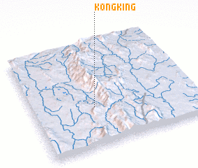 3d view of Kong King