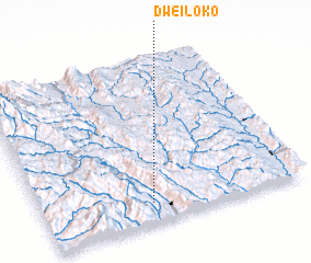 3d view of Dweiloko