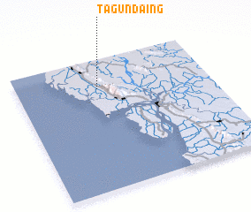 3d view of Tagundaing