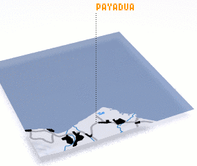 3d view of Payadua