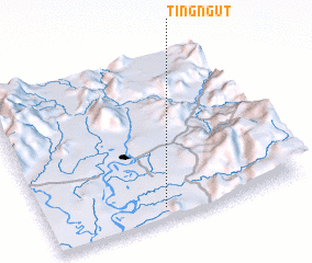 3d view of Tingngut