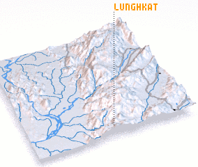 3d view of Lung Hkat