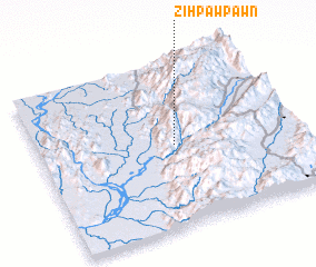 3d view of Zi-Hpawpawn