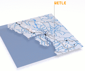 3d view of Wetle