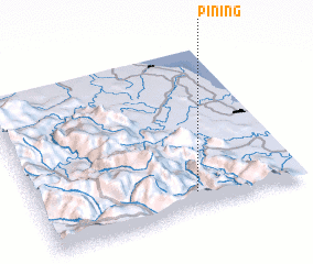 3d view of Pining