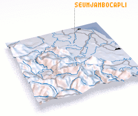 3d view of Seumjambocapli