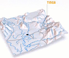 3d view of Tinga