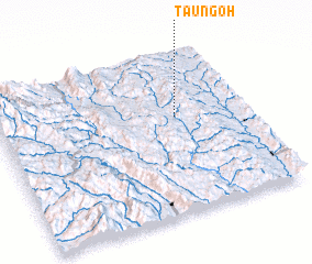 3d view of Taungoh