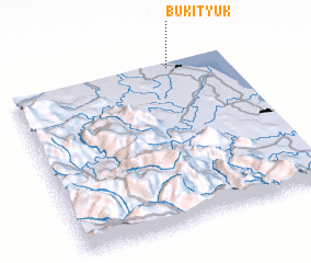 3d view of Bukityuk