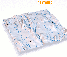 3d view of Pentawng