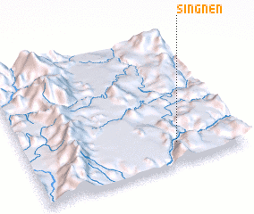 3d view of Singnen