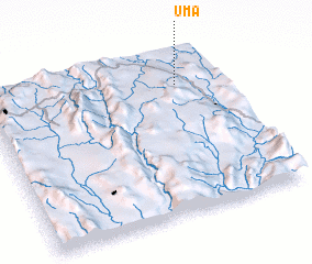 3d view of Uma