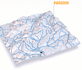 3d view of Pangnim