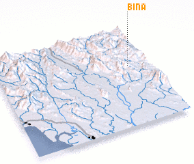 3d view of Bina