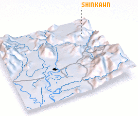 3d view of Shinkawn