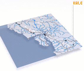 3d view of Kale